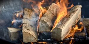 Carbón o leña para asado